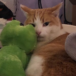 Meet your Posher, Carla